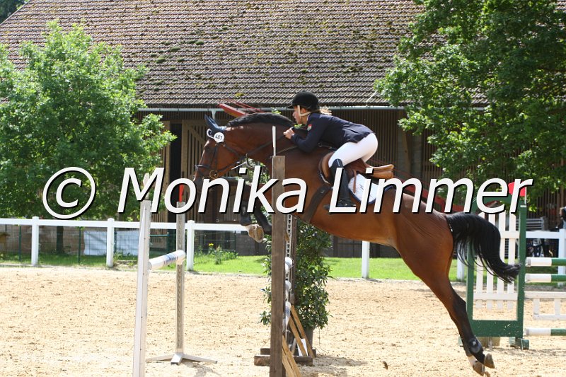 006M6847_Asti_Springpferde L.JPG